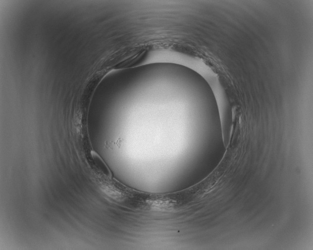 X0000082980693200702152358