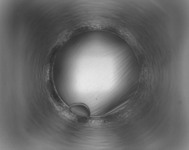 X0000082980694200702152358
