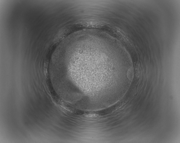 X0000082980695200702152358