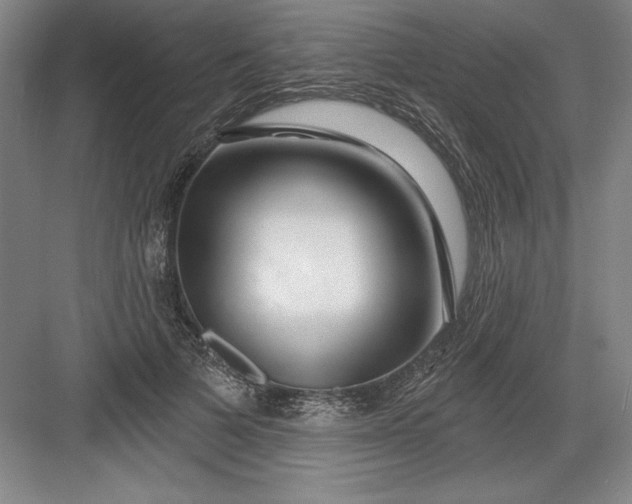 X0000082980697200702152358