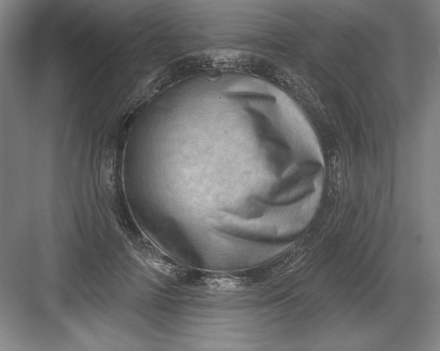 X0000082980698200702152358
