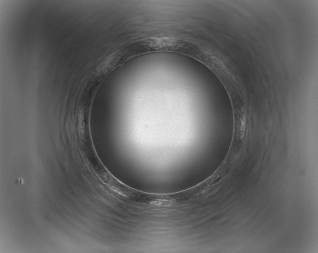 X0000082980700200702152358