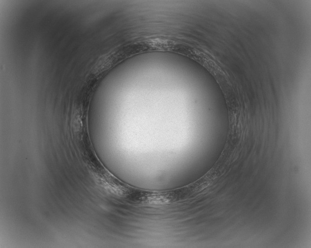 X0000082980702200702152358