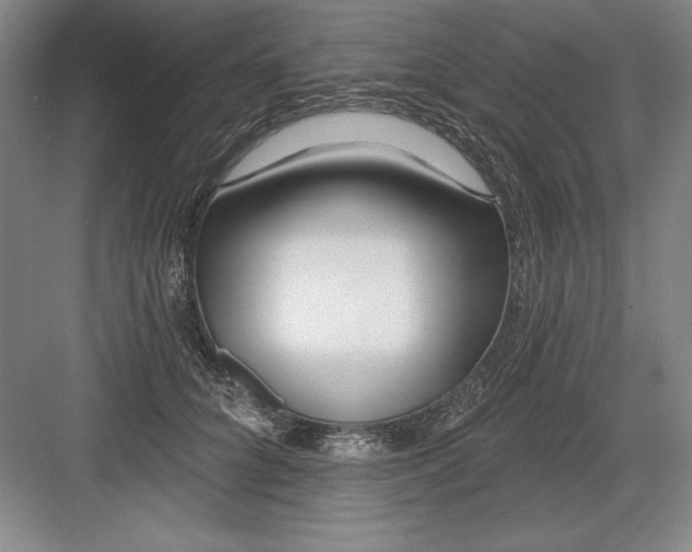 X0000082980704200702152358