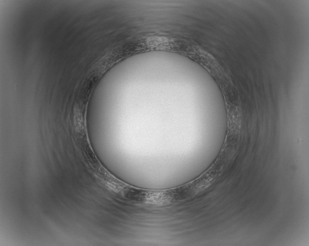 X0000082980705200702152358