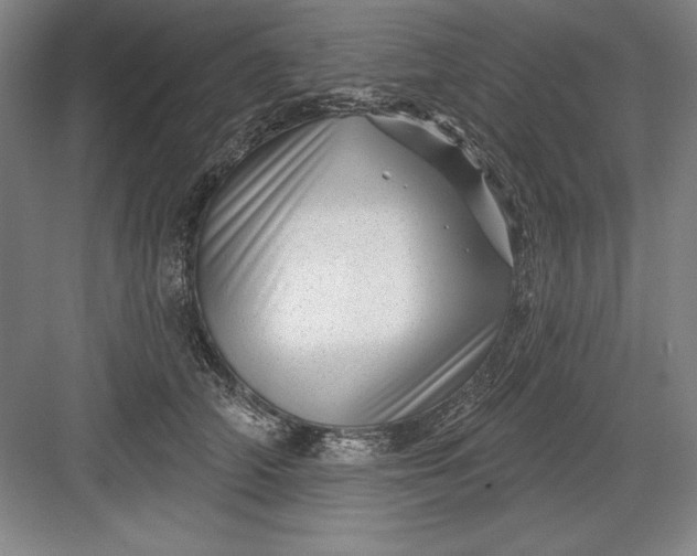 X0000082980706200702152358