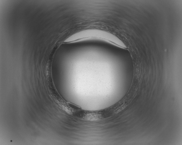 X0000082980708200702152358