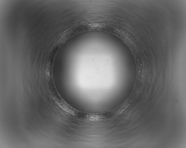 X0000082980710200702152357