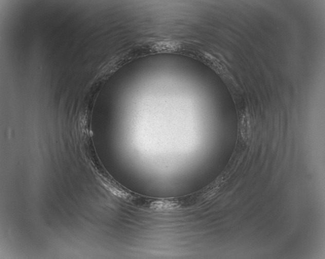 X0000082980714200702152357