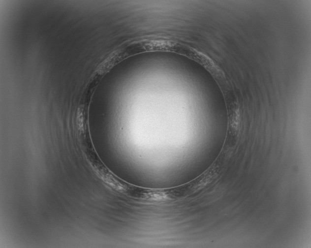 X0000082980715200702152357
