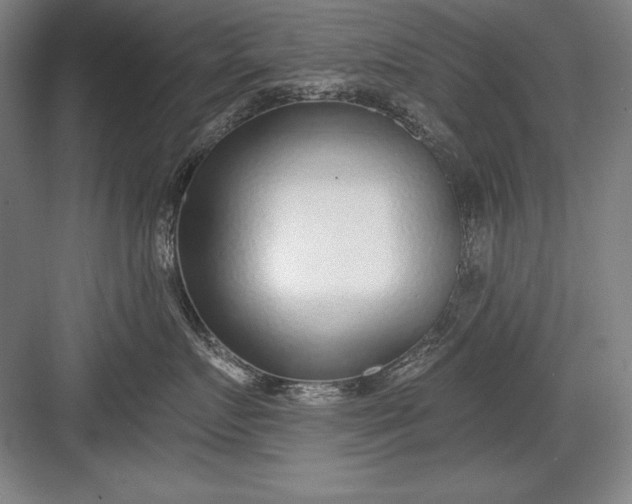 X0000082980719200702152357