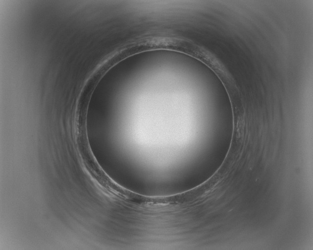 X0000082980722200702152357
