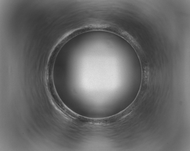 X0000082980726200702152357