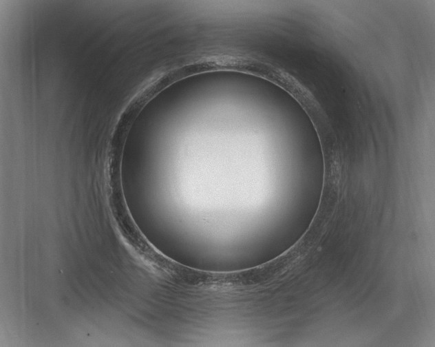 X0000082980730200702152357