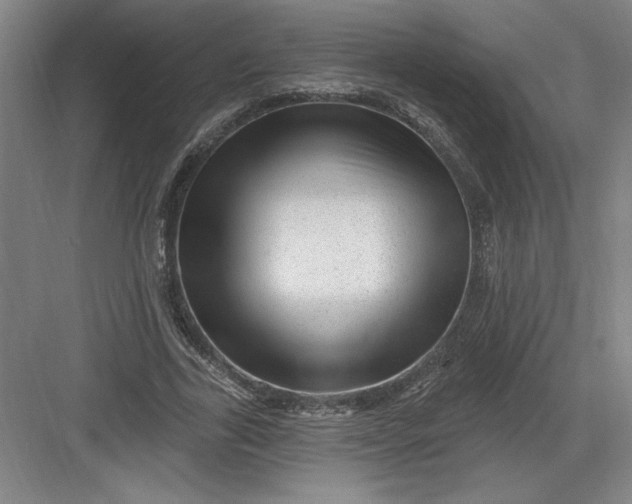 X0000082980731200702152357