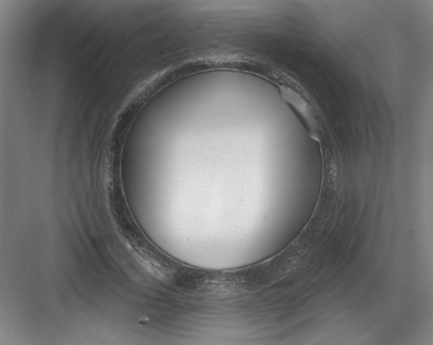 X0000082980732200702152357