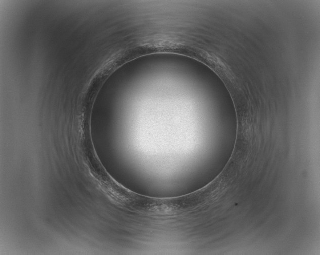 X0000082980735200702152357