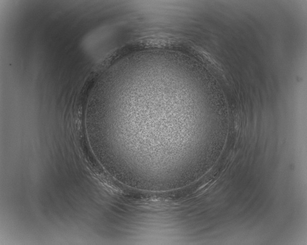 X0000082980737200702152357