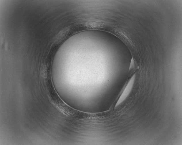 X0000082980738200702152357