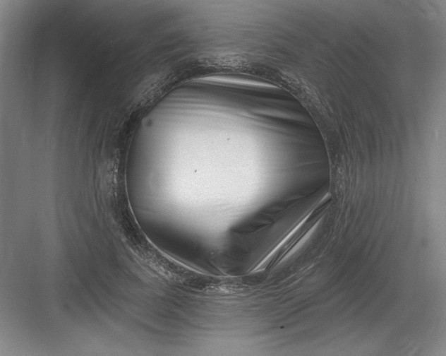 X0000082980739200702152357