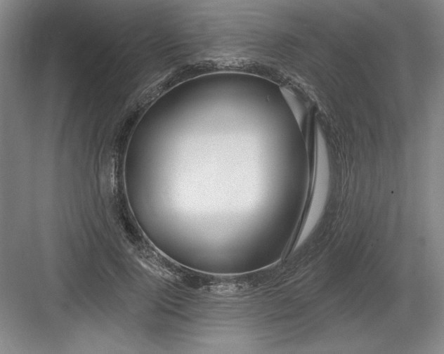 X0000082980740200702152357