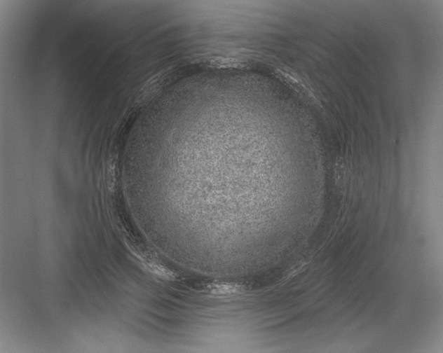 X0000082980741200702152357