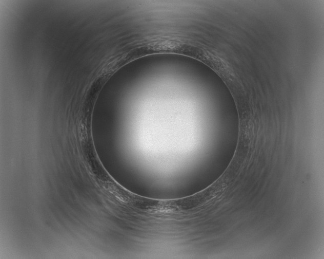 X0000082980743200702152357