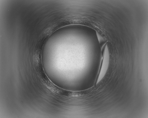 X0000082980746200702152357