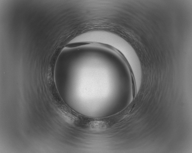 X0000082980748200702152357
