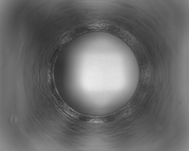X0000082980749200702152357