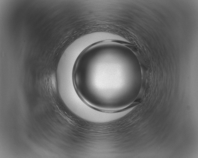 X0000082980750200702152357