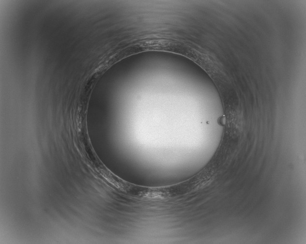 X0000082980751200702152357