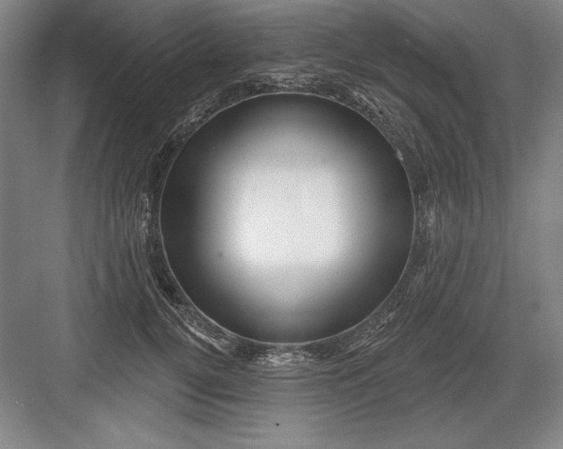 X0000082980752200702152357