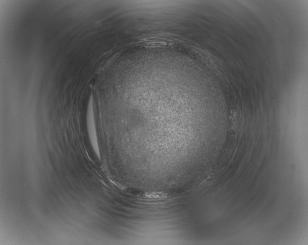 X0000082980753200702152357