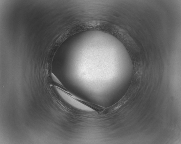 X0000082980758200702152357