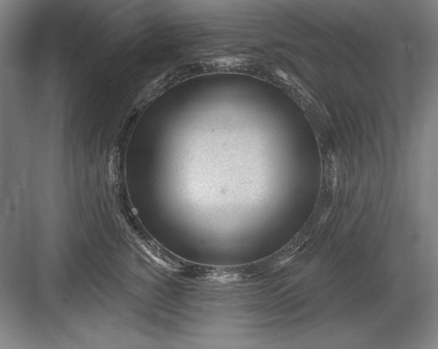 X0000082980760200702152357
