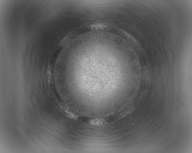 X0000082980761200702152357