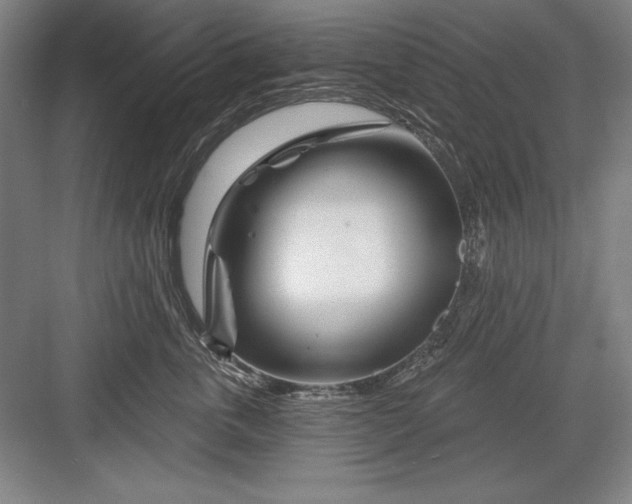 X0000082980763200702152357