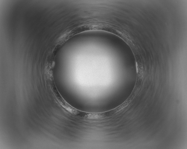 X0000082980766200702152357