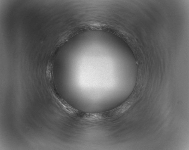 X0000082980768200702152357