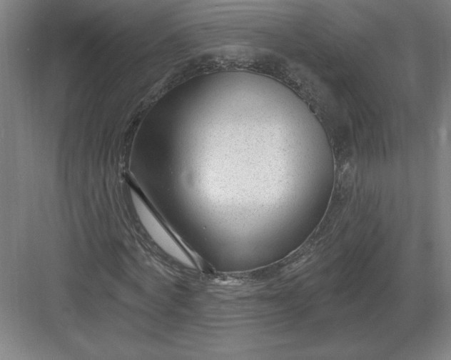 X0000082980772200702152356