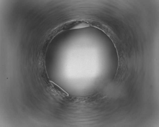 X0000082980773200702152356