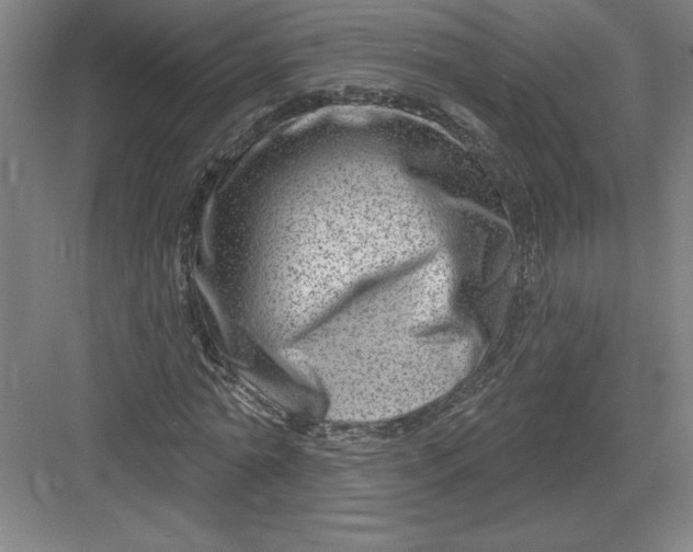 X0000082980774200702152356