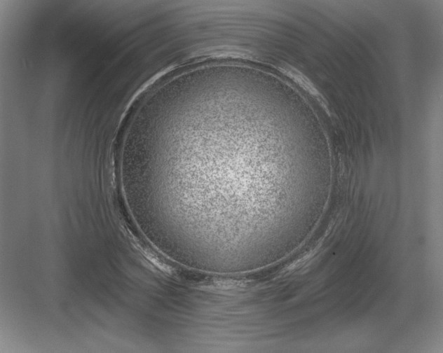 X0000082980782200702152356