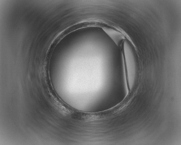 X0000082980783200702152356