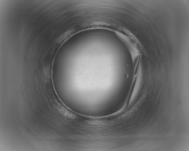 X0000082980785200702152356