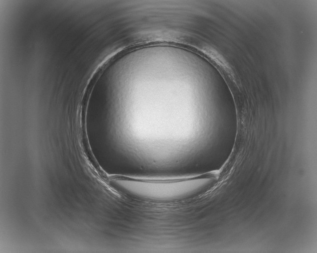 X0000082980790200702152356