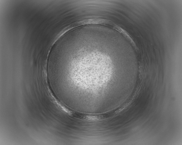 X0000082980794200702152356