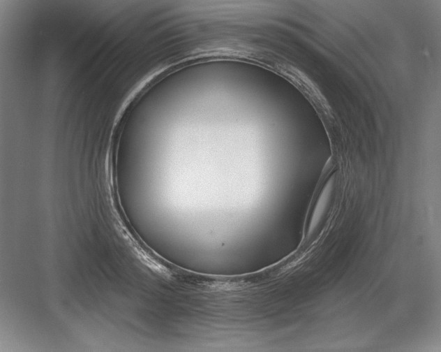 X0000082980796200702152356