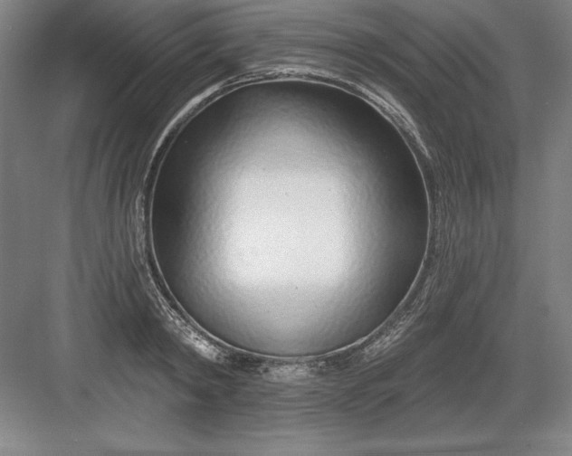 X0000082980798200702152356